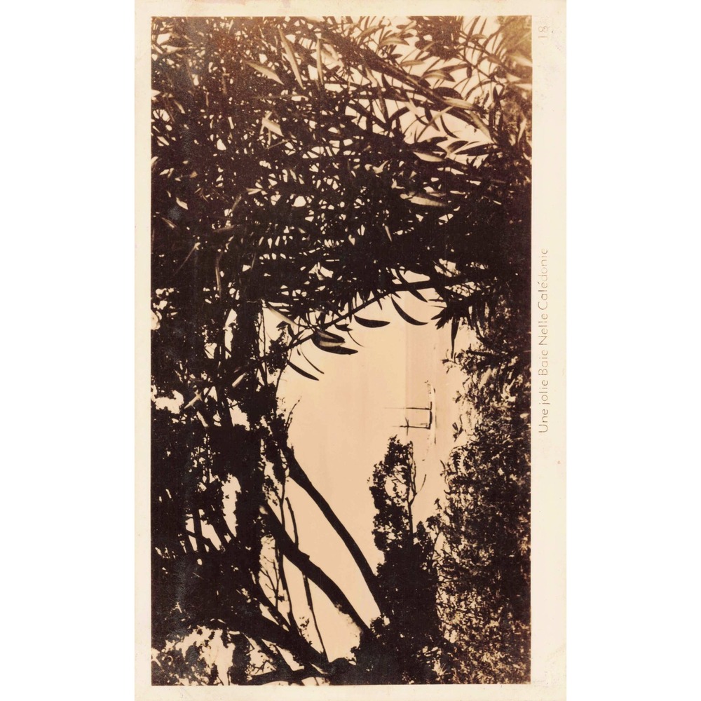 Full Set of 20 Vintage 1940's RPPC from New Caledonia - See Photos! Postcards - Picture 5 of 16